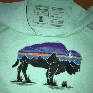 Patagonia Men’s T-Shirt Medium